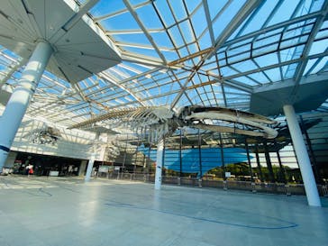 大阪市立自然史博物館に投稿された画像（2023/7/22）