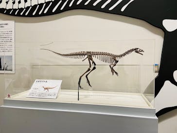 大阪市立自然史博物館に投稿された画像（2023/7/23）