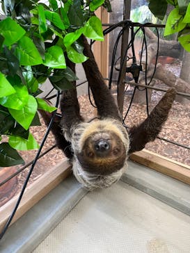 しろとり動物園に投稿された画像（2023/7/23）