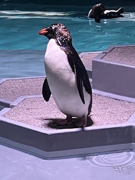 AOAO SAPPOROに投稿された画像（2023/7/23）