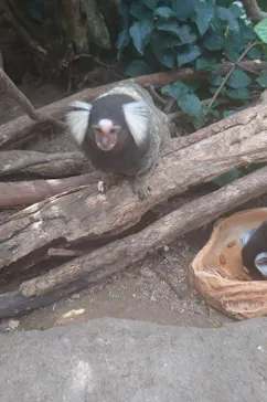 神戸どうぶつ王国に投稿された画像（2023/7/23）