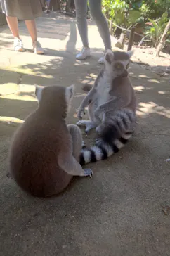 神戸どうぶつ王国に投稿された画像（2023/7/23）
