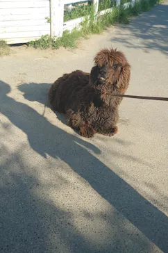 神戸どうぶつ王国に投稿された画像（2023/7/23）