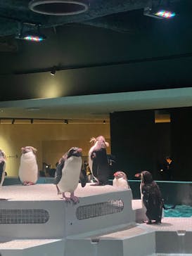 AOAO SAPPOROに投稿された画像（2023/7/23）