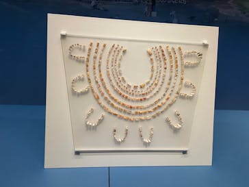 特別展「古代メキシコーマヤ、アステカ、テオティワカン」に投稿された画像（2023/7/23）