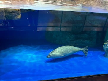 サンシャイン水族館に投稿された画像（2023/7/23）