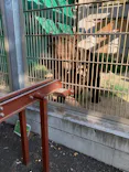 東武動物公園に投稿された画像（2023/7/23）