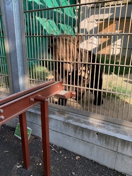 東武動物公園に投稿された画像（2023/7/23）