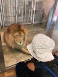 天王寺動物園に投稿された画像（2023/7/23）