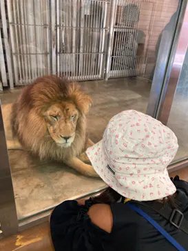 天王寺動物園に投稿された画像（2023/7/23）
