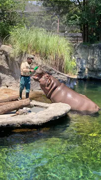 天王寺動物園に投稿された画像（2023/7/23）