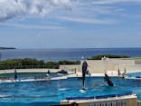 沖縄美ら海水族館に投稿された画像（2023/7/23）