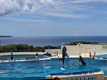 沖縄美ら海水族館に投稿された画像（2023/7/23）