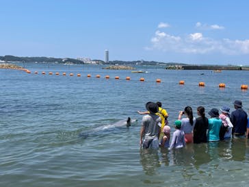 日間賀島ドルフィンビーチに投稿された画像（2023/7/23）