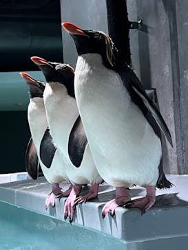 AOAO SAPPOROに投稿された画像（2023/7/23）