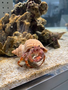 AOAO SAPPOROに投稿された画像（2023/7/23）