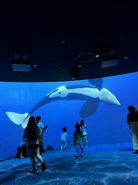 AOAO SAPPOROに投稿された画像（2023/7/23）