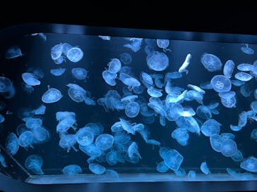 AOAO SAPPOROに投稿された画像（2023/7/23）