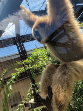 東武動物公園に投稿された画像（2023/7/23）