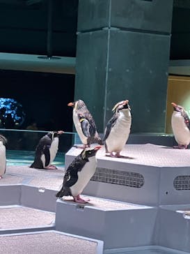 AOAO SAPPOROに投稿された画像（2023/7/23）