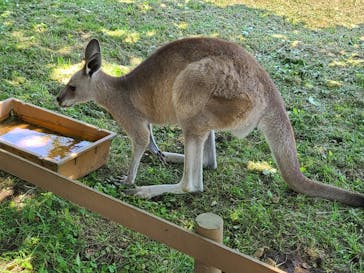 那須どうぶつ王国に投稿された画像（2023/7/23）