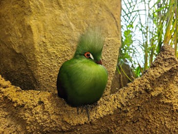 那須どうぶつ王国に投稿された画像（2023/7/23）