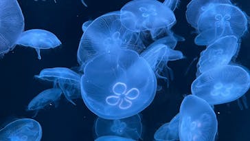 AOAO SAPPOROに投稿された画像（2023/7/23）