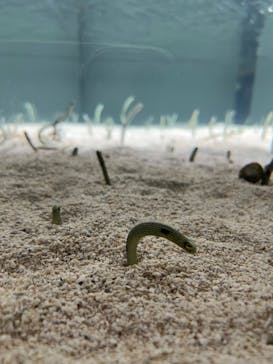 AOAO SAPPOROに投稿された画像（2023/7/23）