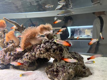 AOAO SAPPOROに投稿された画像（2023/7/23）