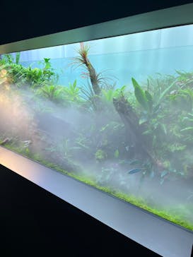 AOAO SAPPOROに投稿された画像（2023/7/23）