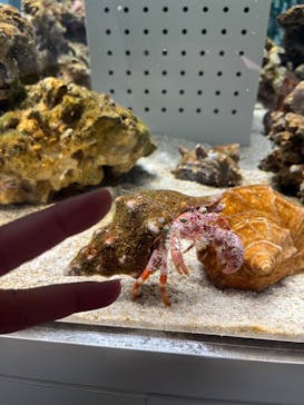 AOAO SAPPOROに投稿された画像（2023/7/23）