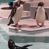 AOAO SAPPOROに投稿された画像（2023/7/23）