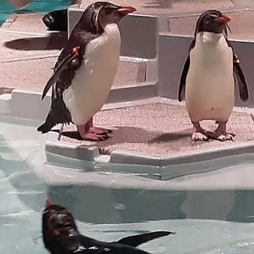 AOAO SAPPOROに投稿された画像（2023/7/23）