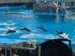 名古屋港水族館に投稿された画像（2023/7/23）