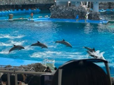 名古屋港水族館に投稿された画像（2023/7/23）