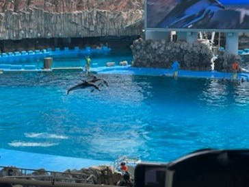 名古屋港水族館に投稿された画像（2023/7/23）