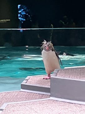 AOAO SAPPOROに投稿された画像（2023/7/23）