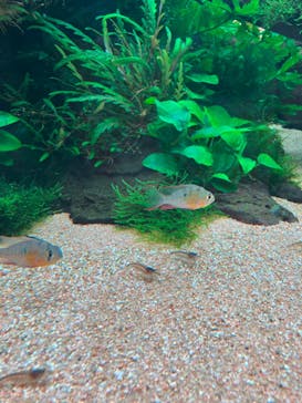 AOAO SAPPOROに投稿された画像（2023/7/23）