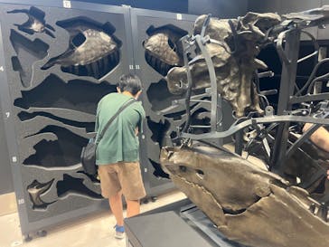 福井県立恐竜博物館に投稿された画像（2023/7/23）