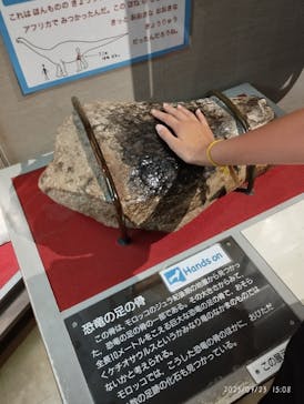 大阪市立自然史博物館に投稿された画像（2023/7/23）