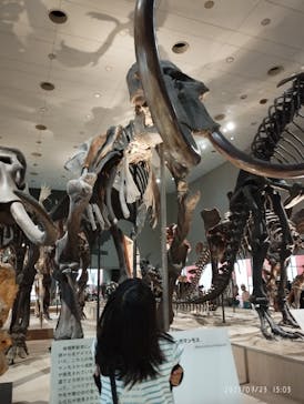 大阪市立自然史博物館に投稿された画像（2023/7/23）