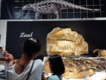 大阪市立自然史博物館に投稿された画像（2023/7/23）