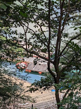 RocaRoca（ロカロカ）アクティビティに投稿された画像（2023/7/23）