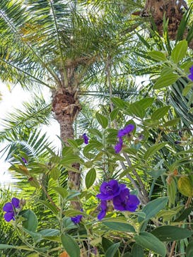 サンシャイン水族館に投稿された画像（2023/7/23）