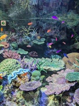 サンシャイン水族館に投稿された画像（2023/7/23）