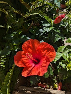 サンシャイン水族館に投稿された画像（2023/7/23）