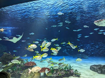 サンシャイン水族館に投稿された画像（2023/7/23）
