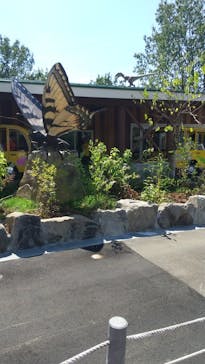 福井県立恐竜博物館に投稿された画像（2023/7/23）