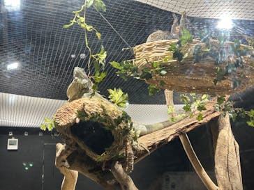 カワスイ 川崎⽔族館に投稿された画像（2023/7/23）