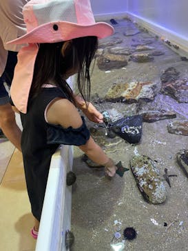 南知多ビーチランド＆南知多おもちゃ王国に投稿された画像（2023/7/23）